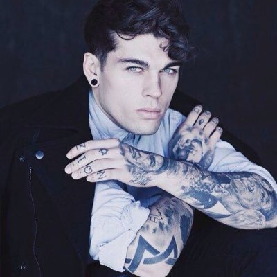 Wolfrpgwyn's profile picture. 