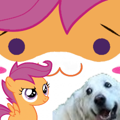 スクータルーはこの世で１番可愛い I Luv Scootaloo Twitter