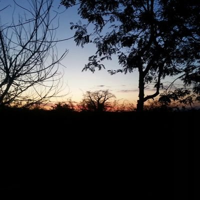 drtinoco's profile picture. Gosto da diversidade e não sigo só aqueles com que concordo... hehe