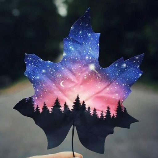 JuanM2369's profile picture. 