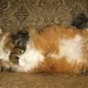 Max Bridgewater - @MaxBridgewater - Twitter