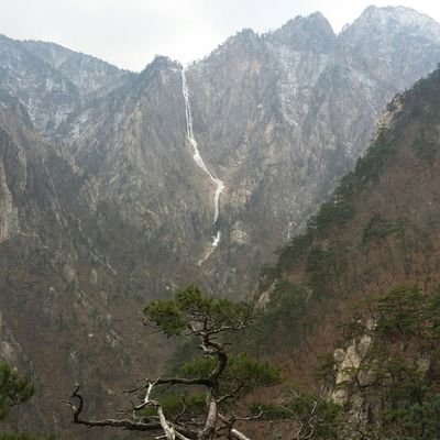 자주국방. 비리척결. 종북척결