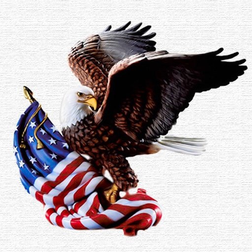 GoMtnBiking's profile picture. Fly Our Flag High!🇺🇸