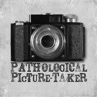 S&FPhotography (@teressmith) 's Twitter Profile