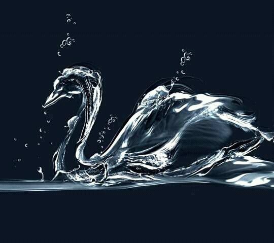 SarkarSayan4's profile picture. 