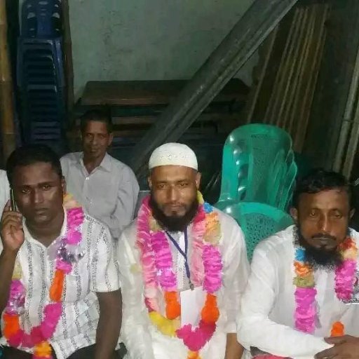 TafazzolHossai1's profile picture. 