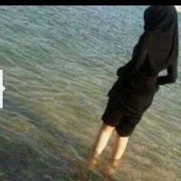 من صنعاء (@hodedah) 's Twitter Profile