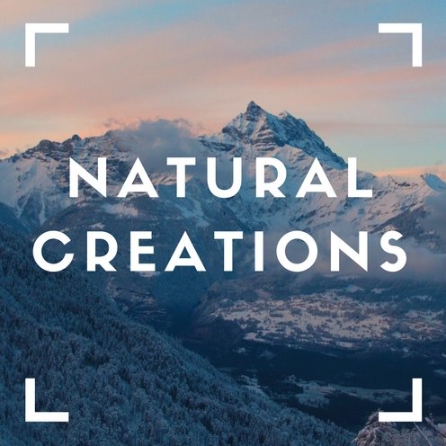 Owner of Natural Creations. I make scrubs, lotions, bath melts, candles, etc.! Check out my website, follow me on Instagram @ natural.or.nothing