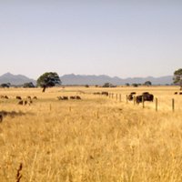 Agrivet Business Consulting(@Agrivetbusiness) 's Twitter Profile Photo