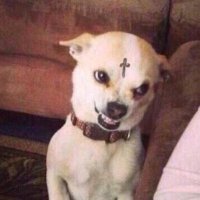 Dallas (@saturnifunny) 's Twitter Profile