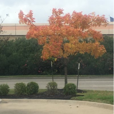 CMbeule's profile picture. 