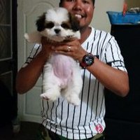 Missyouii (@missyouiii) 's Twitter Profile