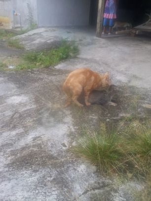 sumari74's profile picture. Rilek