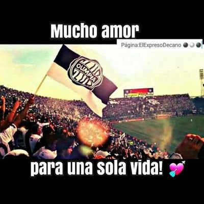 paofal96's profile picture. Olimpia 💚
Veterinaria - UNA