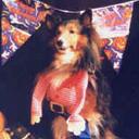 Dan Mackey - @TheRealDanMack - Twitter