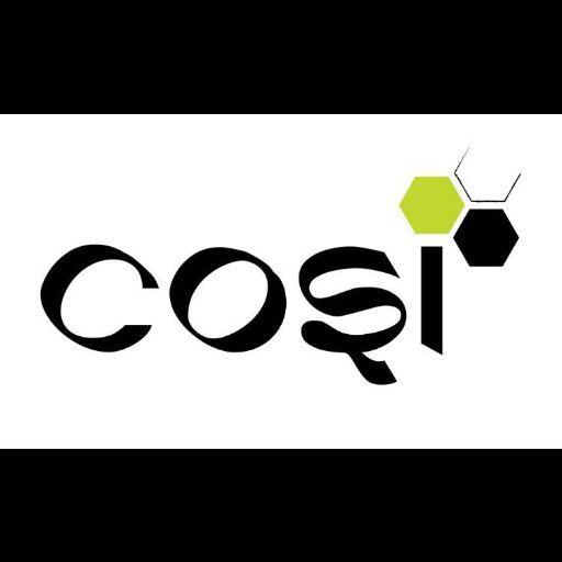 The Community of Organizational Sciences in India (COSI) has the vision of 
