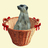 dasmoefzi's profile image