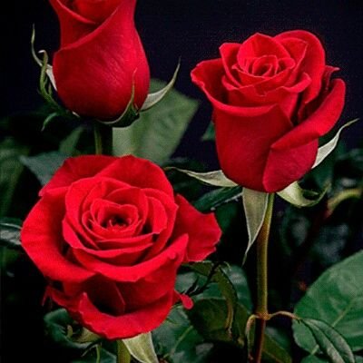 Catheri27981294's profile picture. 