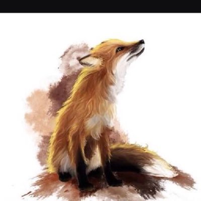 Killer_Fox31's profile picture. Animals Arts Basketball Fun Gaming Music NBA Sports Trending Travel YouTube