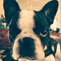 linotte (@malineonline) 's Twitter Profile Photo linotte (@malineonline) 's Twitter Profile Photo
