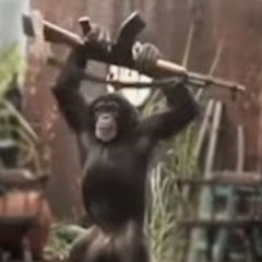 xmaiq's profile picture. 