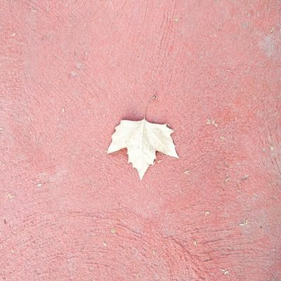 dottorgioia's profile picture. keep believing in miracles.