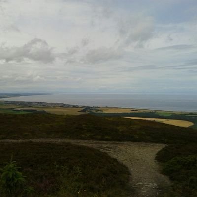 KarinMoir's profile picture. 