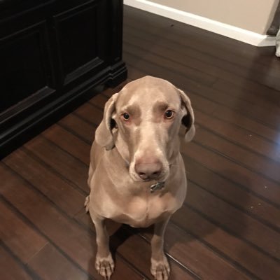 dbaynon23's profile picture. 