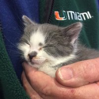 forecane (@forecane) 's Twitter Profile