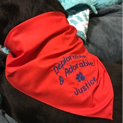 JusticesJourney's profile picture. 