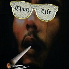 _buenoshumos_'s profile picture. no tengo el chichi para farolillos