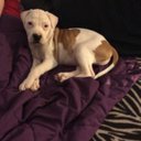 Ben Vann - @BenVann2 - Twitter