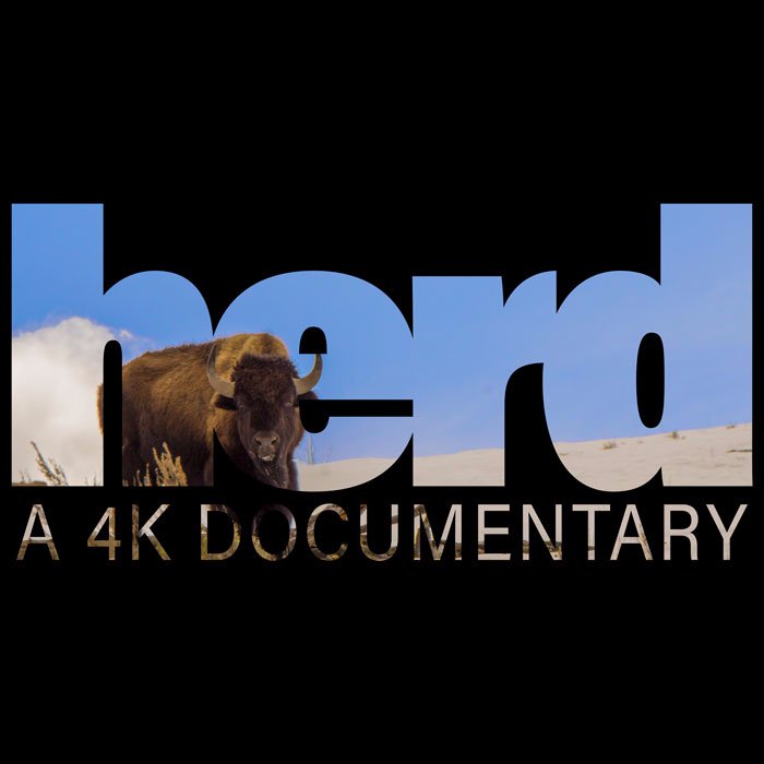 Herd Movie (HerdMovie) Twitter