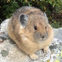 Aaron Reinke (@reinke_science) 's Twitter Profile Photo Aaron Reinke (@reinke_science) 's Twitter Profile Photo