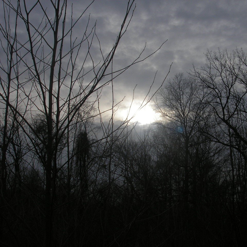 cynlawn's profile picture. Council Rock ESP President. Proud PSEA/NEA member