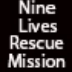 Nine Lives Rescue Mission is here to help feral and abandoned cats. Facebook page: https://t.co/RetdzFGYbA