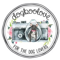 Dogboolove(@Dogboolove) 's Twitter Profile Photo