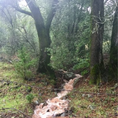 Sustainable BioDynamic No Till Cannabis Farming in Sonoma County ❤️🔥💚