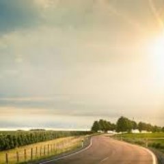 PhuQui1998's profile picture. 