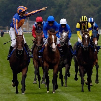 smartfalcon2011's profile picture. 