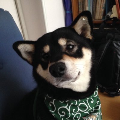 swiftman1175's profile picture. 40年前にFortranを初めて使い、z80で初めてBASICをつかい、x6800で初めてC言語をつかい、iPhoneを使い始めてObjective-Cで思いっきりひっつまづき、Swiftでなんとかプログラミングらしきものが組めるようになり、いまはSwift入門講座らしきものを時間を見つけながら作成しています。