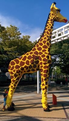 moametal9's profile picture. 