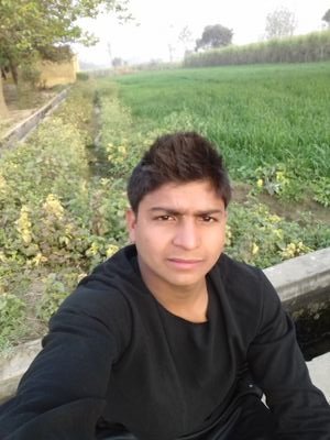 Salman11170502's profile picture. 