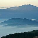 Rene Mills - @paperclips77373 - Twitter