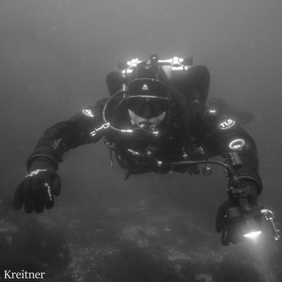 avhamburg's profile picture. 