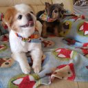 Albert Lockhart - @allockhart5 - Twitter