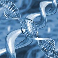 double helix 🔬🇺🇦 CRISPR will change the world(@dbl_helix) 's Twitter Profile Photo