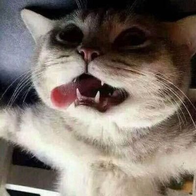 guandaqiang's profile picture. 悲观的乐观主义者。