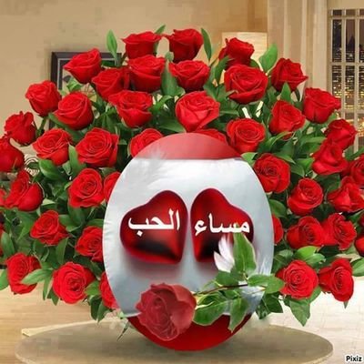 ‏نفسي سالب من المدينه يكون جاد اتصل بي 0547878952