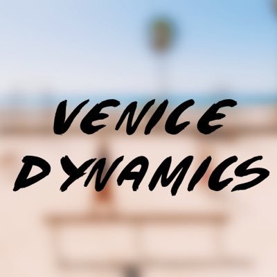 Venice Dynamics